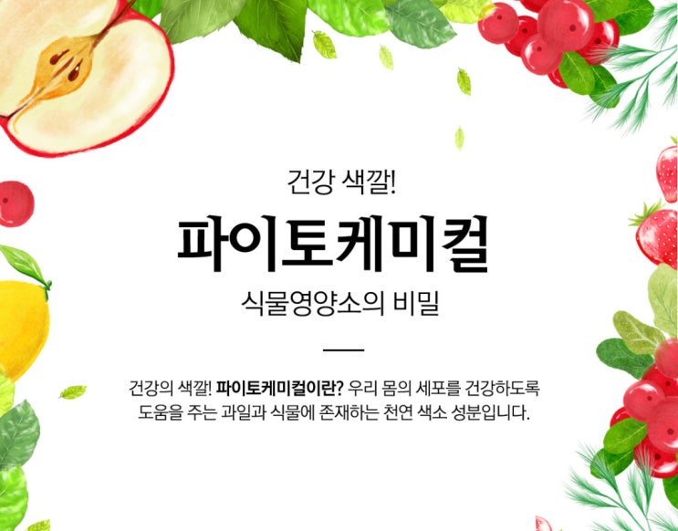  파이토케미컬, 컬러푸드를 알아보자(feat. 폴리페놀)