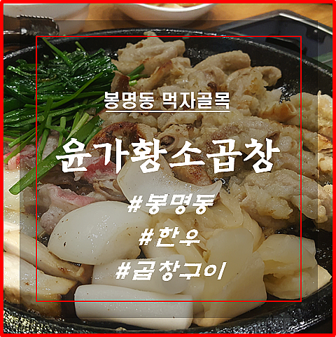  [봉명동 맛집탐방] 윤가황소곱창 _ 소곱창의 쫄깃함과 고소함을 즐기고 싶다면!!