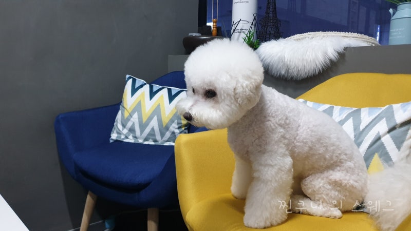 사진 6