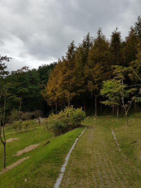  추운 날~~