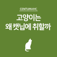  고양이는 왜 캣닙에 취할까?