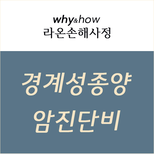  [암진단비] 난소의 경계성 종양(D39.1)이지만, 여성특정암에 해당하는 난소암(C56)으로 해석되는 경우