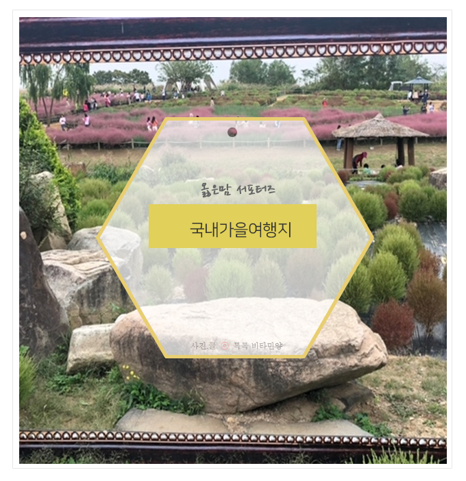  국내가을여행지 하늘공원도 옳은맘 멸균우유와 함께