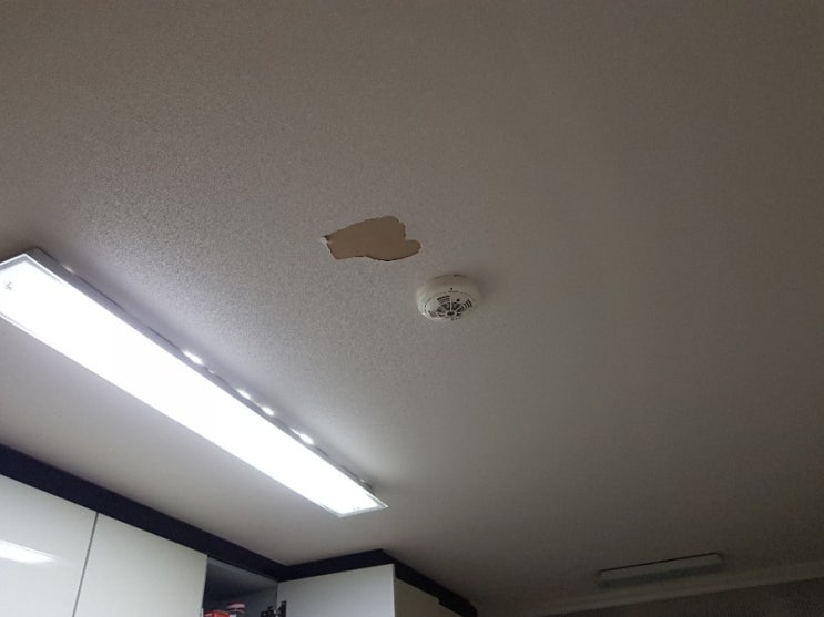  수원 부분도배 천장땜빵 숨고에서 해결했어요 :)