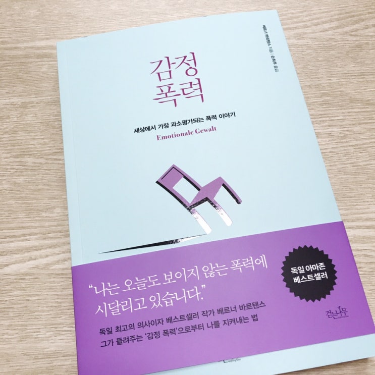 감정 폭력 - 세상에서 가장 과소평가되는 폭력 이야기