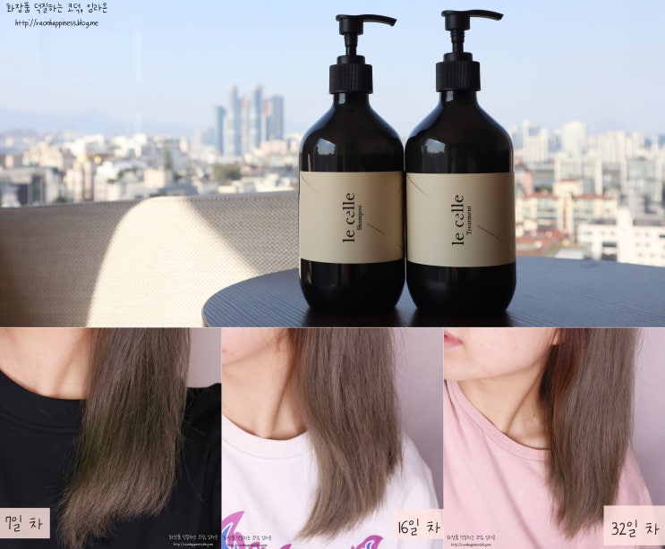 탈색 머리도 반한 르셀르 맞춤샴푸 트리트먼트 한 달 사용 후 변화
