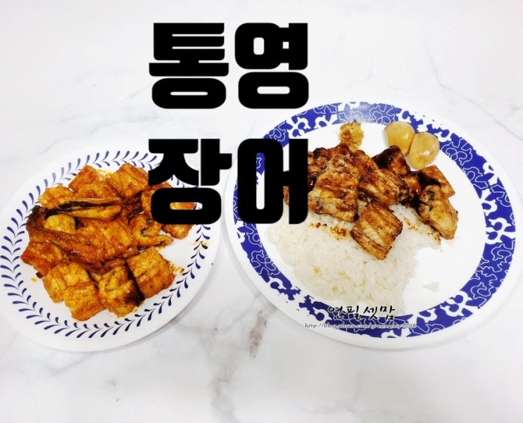  통영장어 수산물중매쟁이 으뜸장어