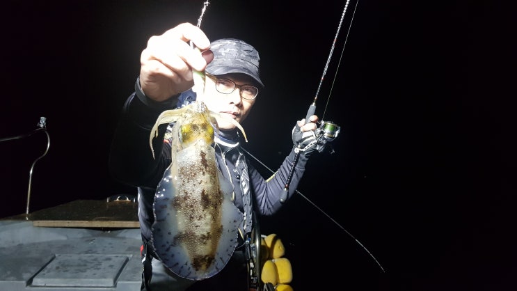  통영 무늬오징어 낚시 패미리호에서 손맛 보고 왔네요