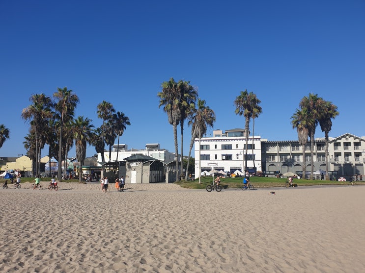 LA여행 기록 첫날 #베니스해변 #산타모니카해변 #더그로브몰