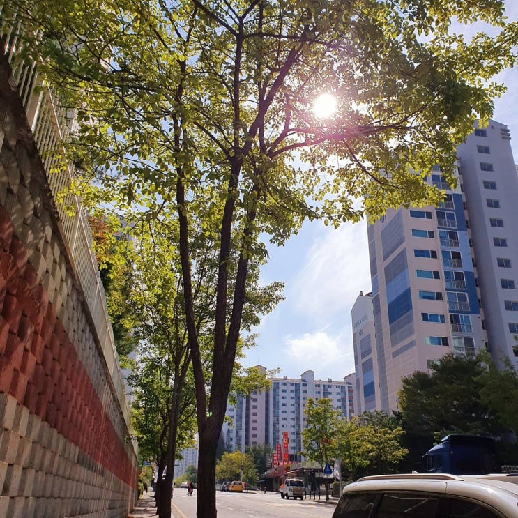  보그재팬 수잔밀러, 2019년 10월 15일 ~ 31일 신/만월 사수자리 별자리 운세