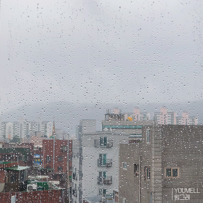  2019.10. 일상 #2