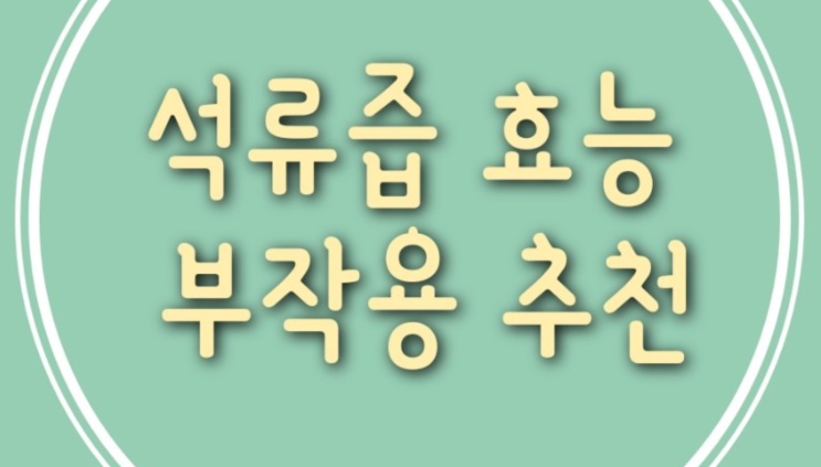  석류즙 효능 부작용 추천 드립니다.