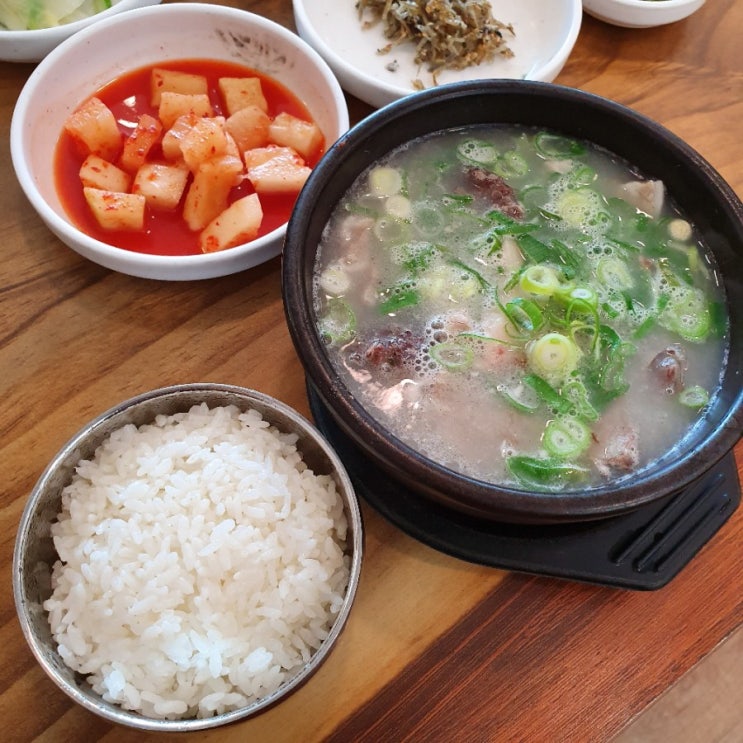  예천군맛집/용궁면맛집:) 단골식당 2호점 순대국밥