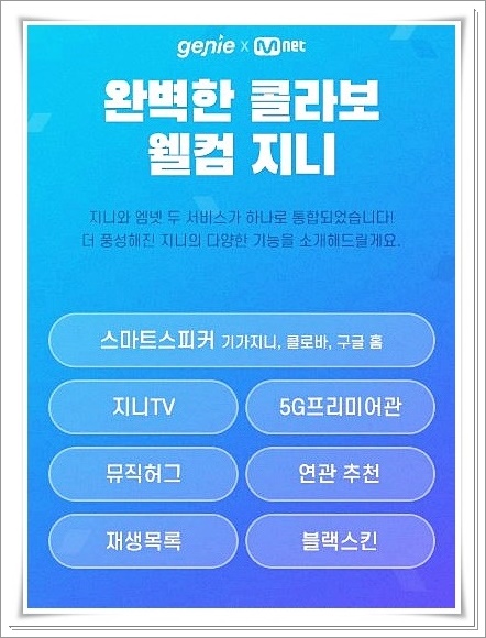  지니뮤직 멜론 서비스 및 이용권 비교