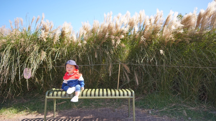  Jeju Day4 (10.09)