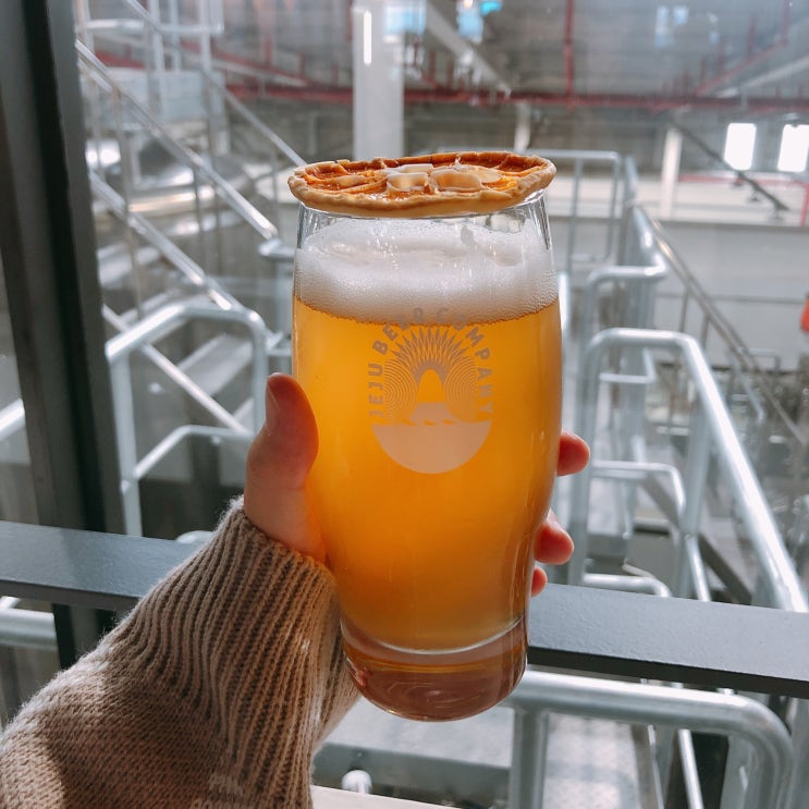  맥주효모 효능 비교후기 (모발관리 복합식품 종류별로 먹어봄)