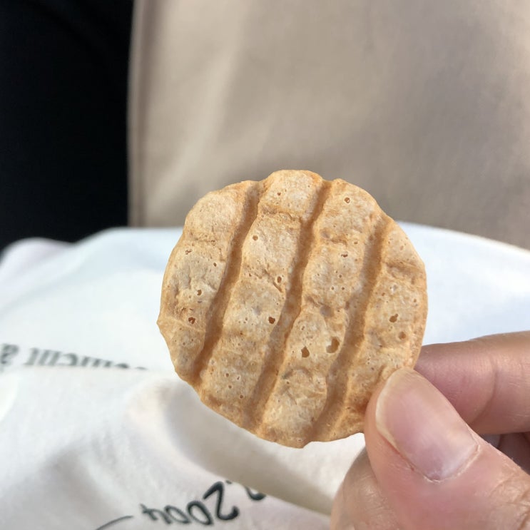  다이어트 간식 | 먹기좋은 닭가슴살 칩