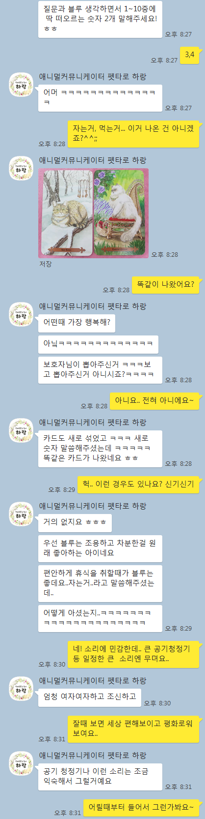  블루와 교감하기) 애니멀 커뮤니케이터 하랑!