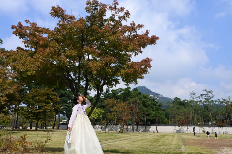  경복궁 한복대여 [ OK한복 ]