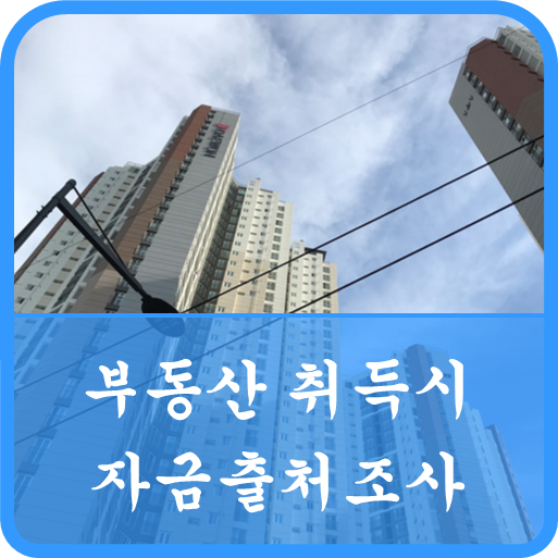 자금출처조사