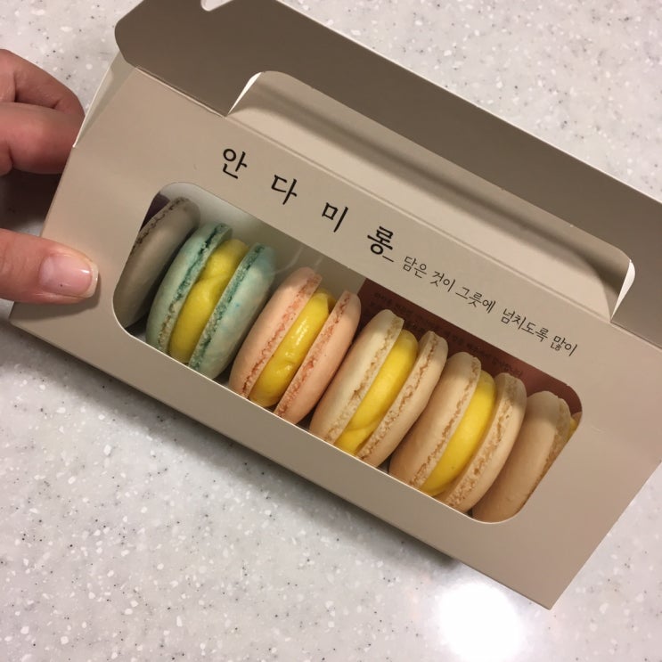  [울산/마카롱]나의 최애 마카롱 맛집 안다미롱 :)