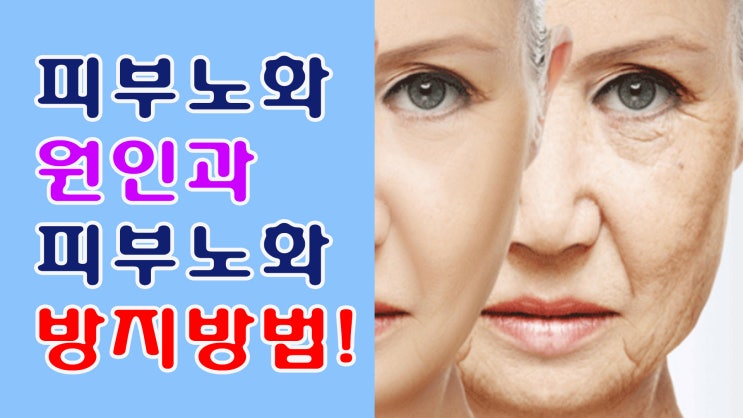  피부 노화의 원인을 바로 알고 노화방지로 동안피부 되어요~