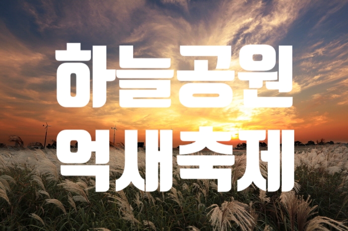 서울에서 열리는 가을축제, 하늘공원 억새축제