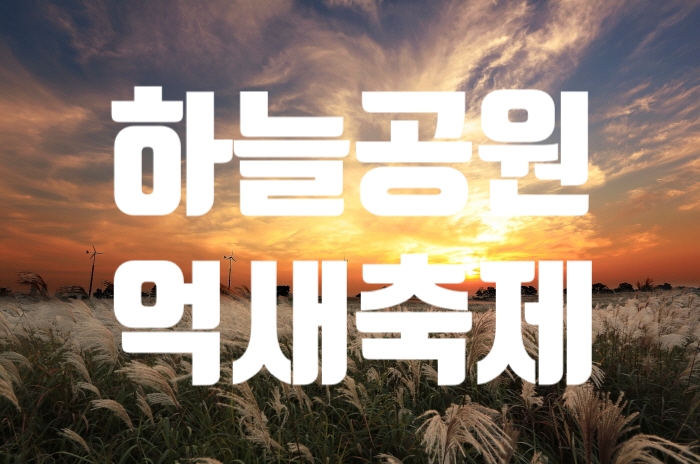  서울에서 열리는 가을축제, 하늘공원 억새축제