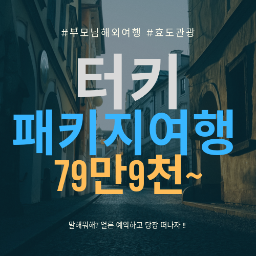  부모님 해외여행 유럽 터키 패키지 79만9천~