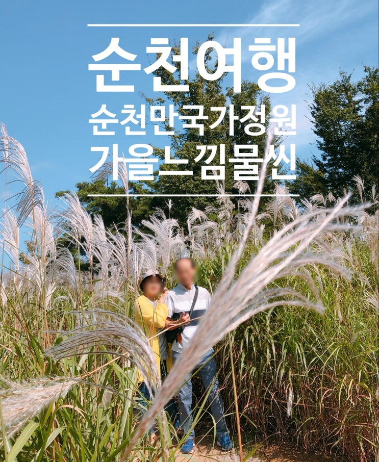  순천 갈만한곳 순천만 국가정원, 핑크뮬리와 멋진 갈대들 +프리마켓 득템까지 !