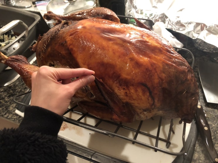  [밴쿠버일상] Happy Thanksgiving / 이보다 더 캐나다 땡스기빙일 수 없다