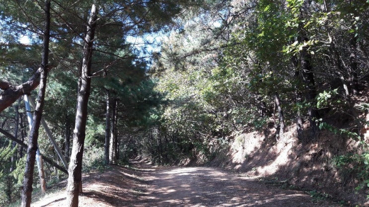  파주 금촌, <학령산>