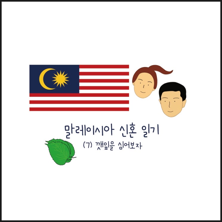  [말레이시아 신혼일기] 7. 말레이시아에서 깻잎 키우기