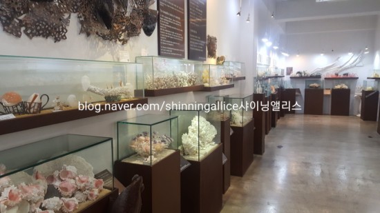 세계조가비박물관 과 럭셔리 화장실