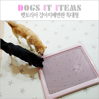  펫토리아 강아지배변판 특대형으로 배변판 훈련 시작ㅠㅠ