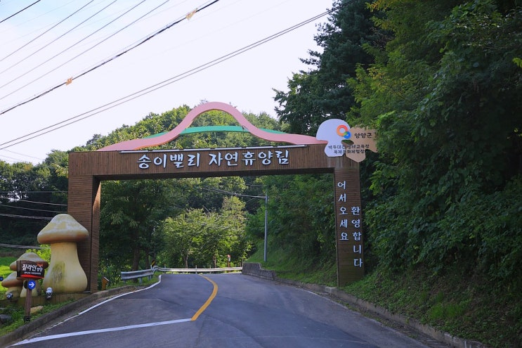  양양가볼만한곳, 양양송이홍보관