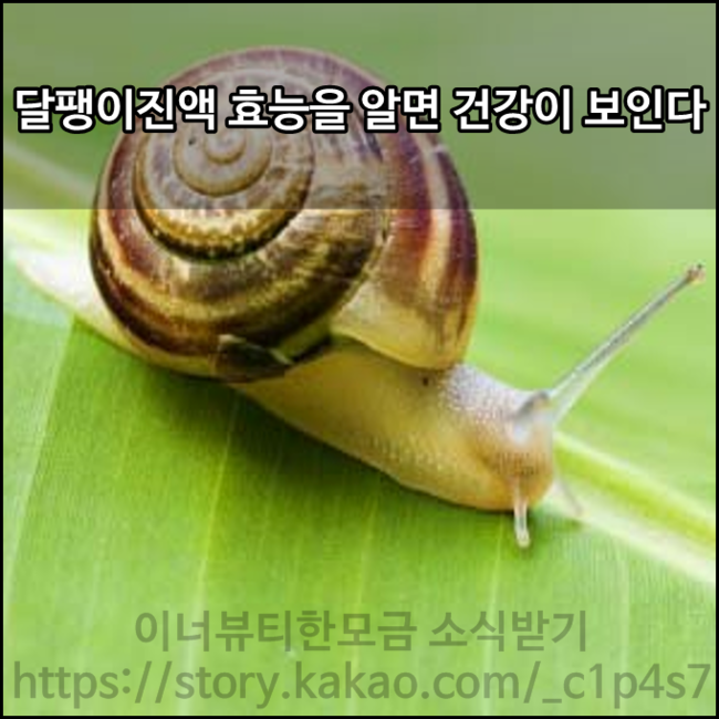  달팽이효능, 달팽이진액 효능을 알면 건강이 보인다.
