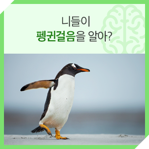  펭귄이 뒤뚱뒤뚱 걷는 이유는? | 극지연구소의 극적인 지식