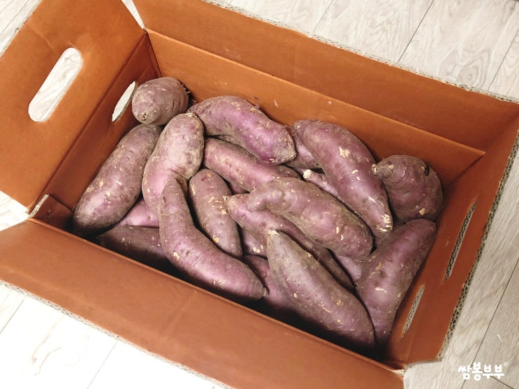  돌쇠네농산물 밤고구마 맛있게 쪄 먹기!