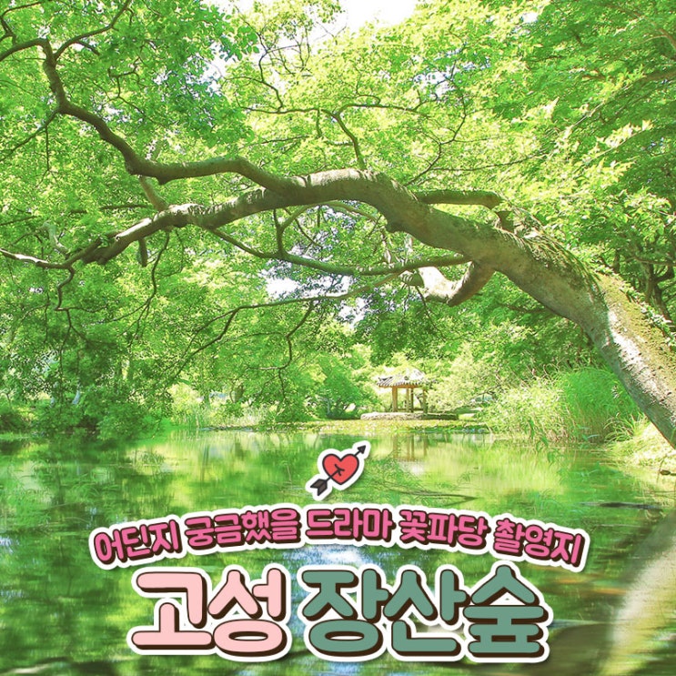 드라마 '꽃파당' 방영으로 큰 관심을 받고 있는 고성 장산숲을 소개합니다!