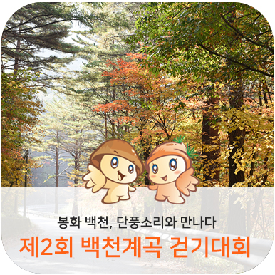  제2회 봉화 백천, 단풍소리와 만나다