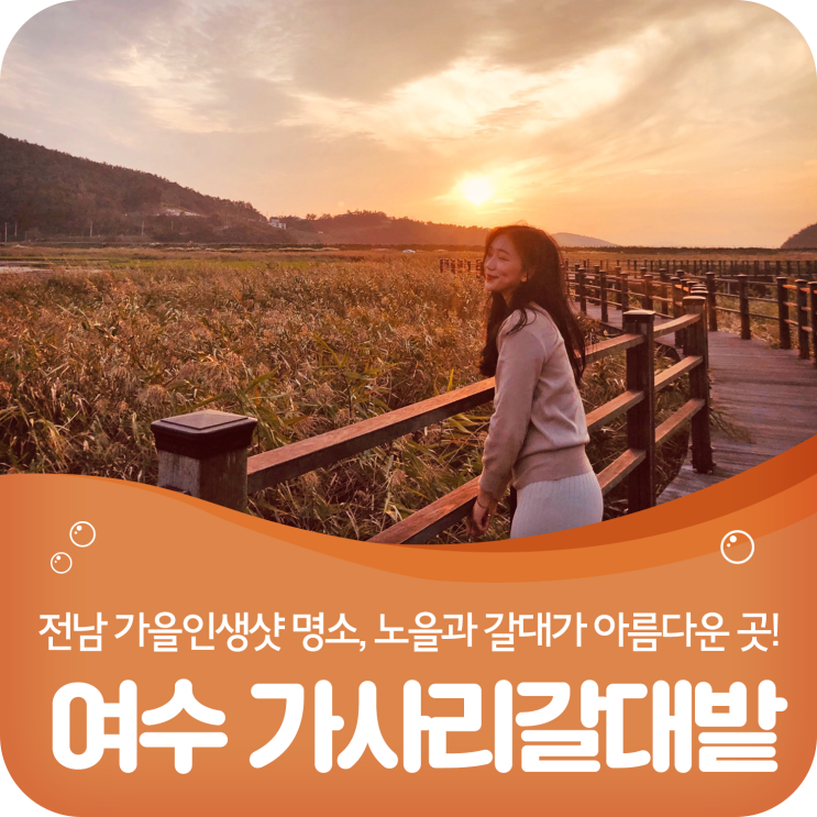  여수 가을인생샷 명소, 가사리갈대밭! 노을과 갈대가 아름다운 곳~
