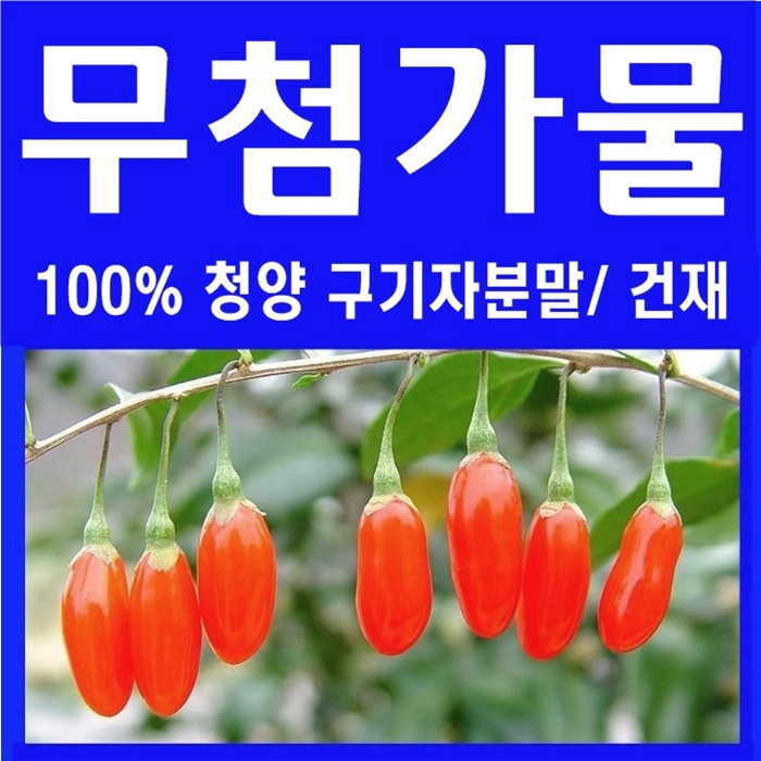  청양 구기자 가루 효능과 분말 파는곳 안내