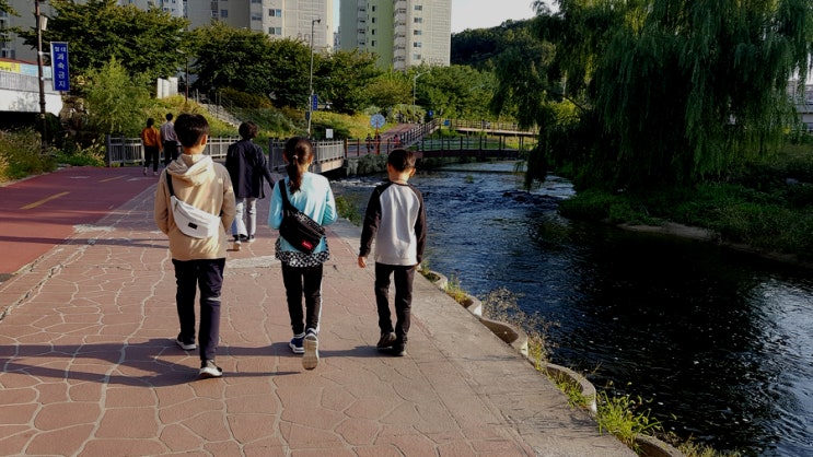  복사