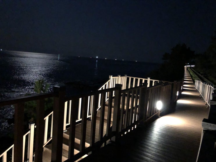  부산여행, 해운대 '청사포'에서 '송정해수욕장' 가는 해안길 힐링코스..