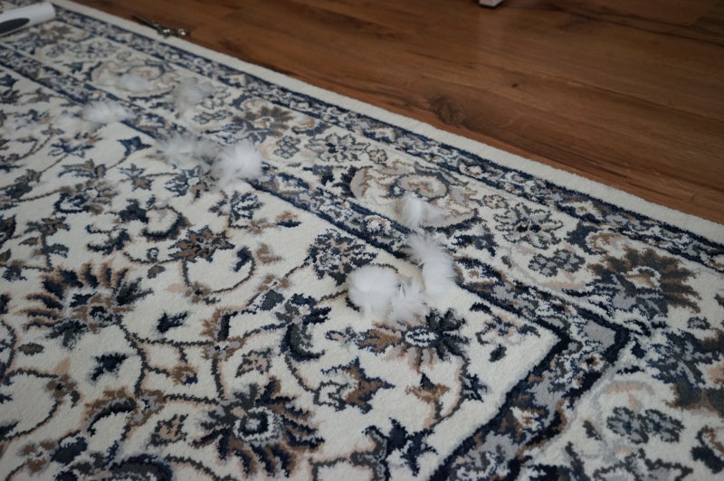 고양이털 다이슨 청소기로 해결했어요 : 네이버 블로그