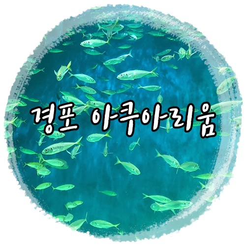  강원도 여행! 경포아쿠아리움 다녀온 후기
