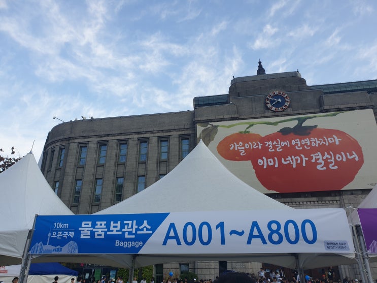 2019 서울달리기대회 참가 후기 / 10KM마라톤