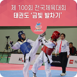 제 100회 전국체육대회 태권도 ‘금빛 발차기’