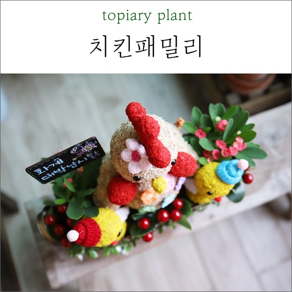  닭갈비집 개업선물 치킨패밀리 : 풍성하게 준비했어요